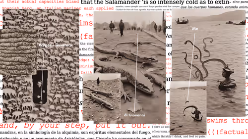 Item #3996202571 Media