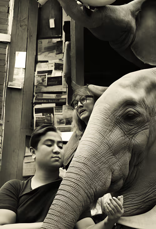 Item #2301880116 Media