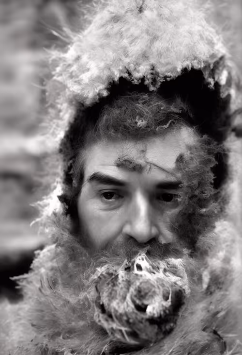 Item #4212579697 Media