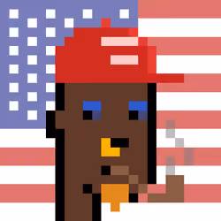 The Americans #8728