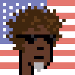 The Americans #6548