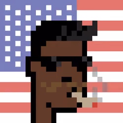 The Americans #8434