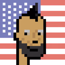 The Americans #6346