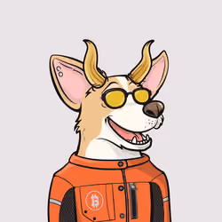 Approving Corgis #1510