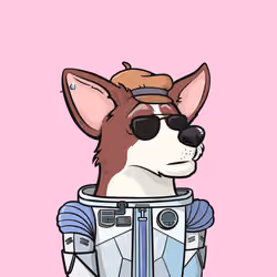 Approving Corgis #5358