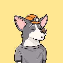 Approving Corgis #5150