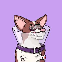 Approving Corgis #435