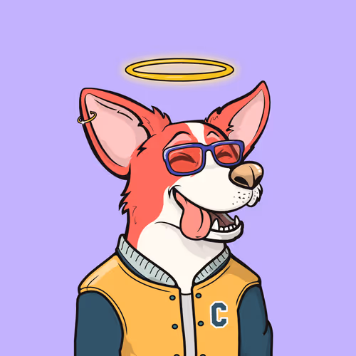 Approving Corgis #6944