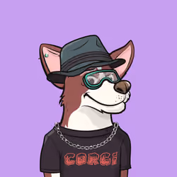 Approving Corgis #5205