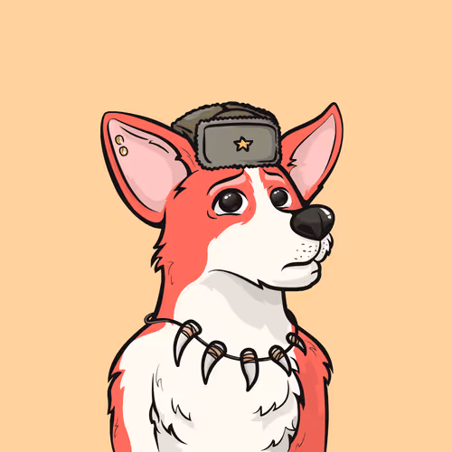 Approving Corgis #2551