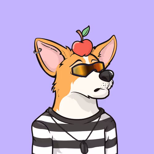 Approving Corgis Official