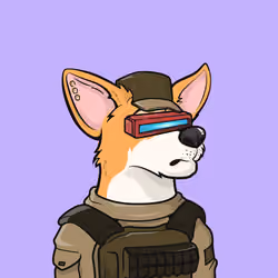 Approving Corgis #4979