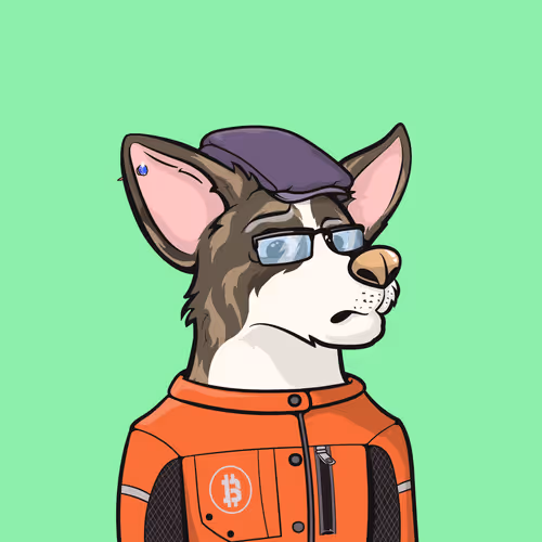 Approving Corgis Official