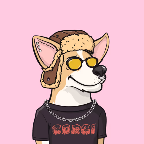 Approving Corgis Official