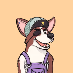 Approving Corgis #3134