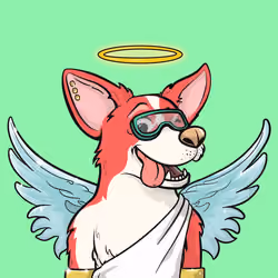 Approving Corgis #5183