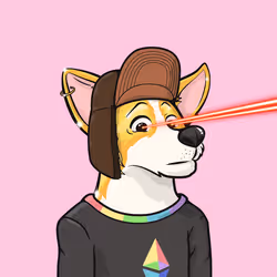 Approving Corgis #3136
