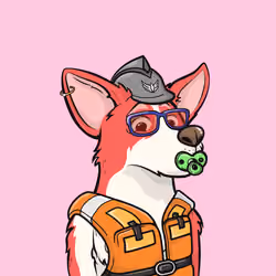 Approving Corgis #2269