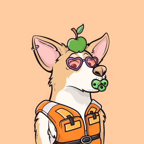 Approving Corgis #4938