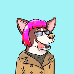 Approving Corgis #5659