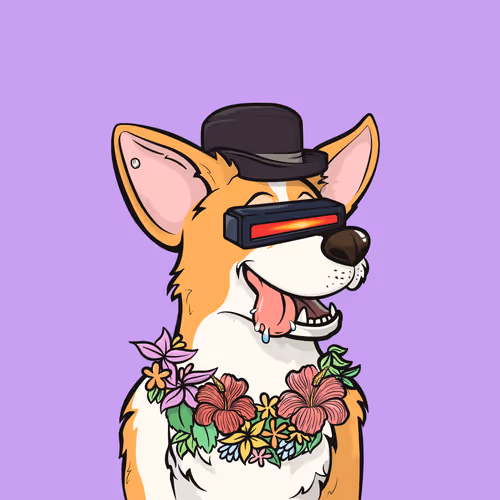 Approving Corgis Official