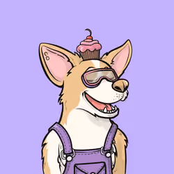 Approving Corgis #5330