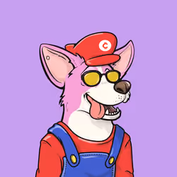Approving Corgis #4846