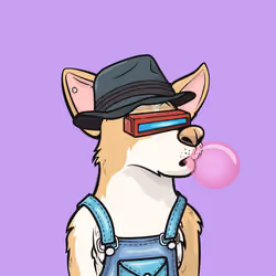 Approving Corgis #3788