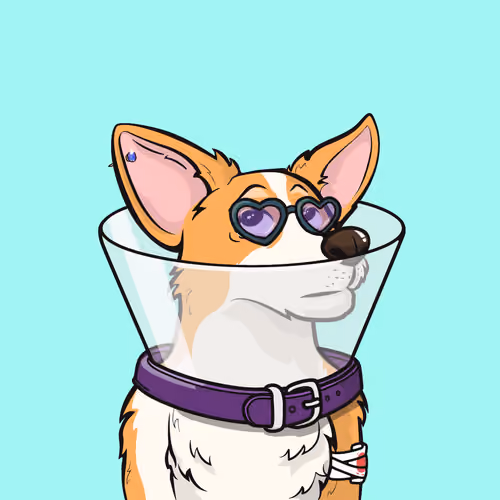 Approving Corgis #5808