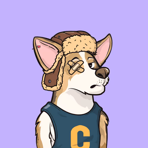 Approving Corgis #5174