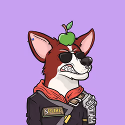 Approving Corgis #6264