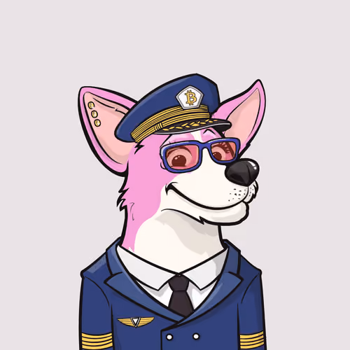 Approving Corgis #2942