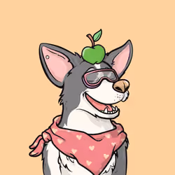 Approving Corgis #444