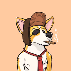 Approving Corgis #5247