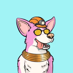 Approving Corgis #5242