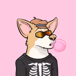 Approving Corgis #6927