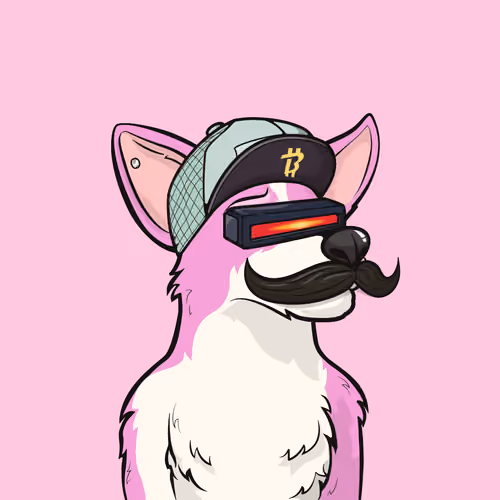Approving Corgis #5666