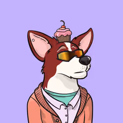 Approving Corgis #4198