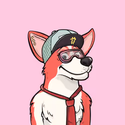 Approving Corgis #5318