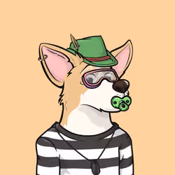 Approving Corgis #3375