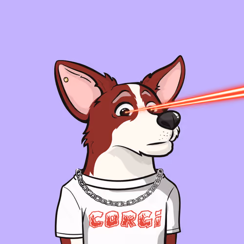 Approving Corgis #1446