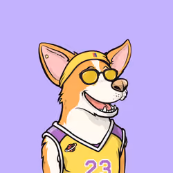 Approving Corgis #4959