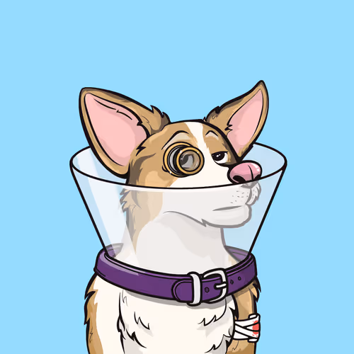 Approving Corgis Official
