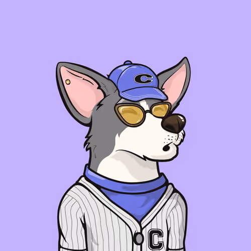 Approving Corgis #4892