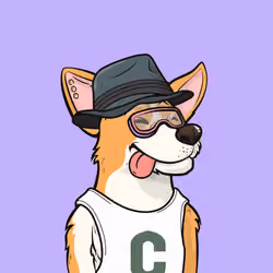 Approving Corgis #6360