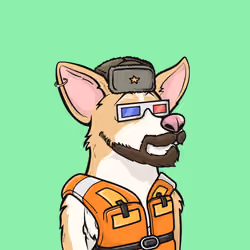Approving Corgis #6960