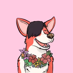 Approving Corgis #4992