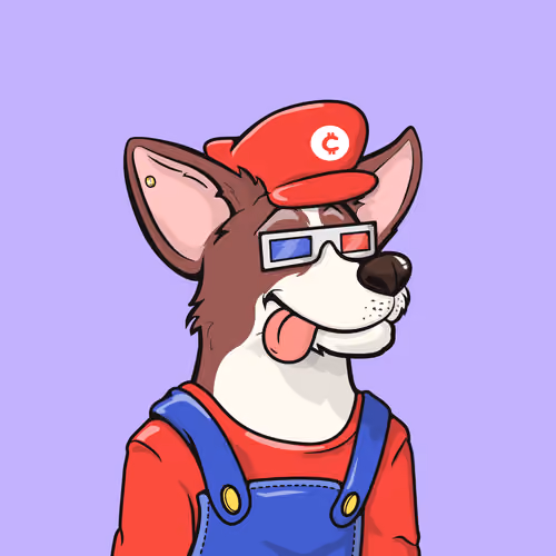 Approving Corgis #4991