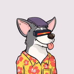 Approving Corgis #6396