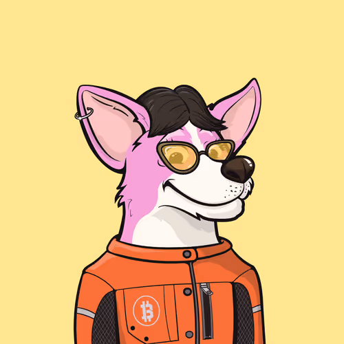 Approving Corgis Official